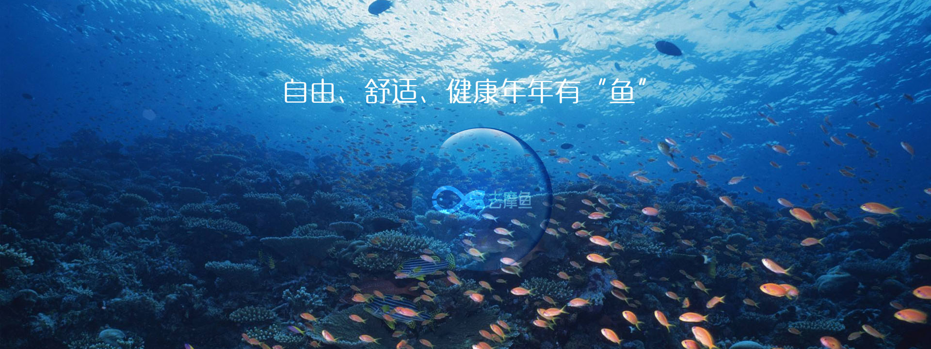 首页banner